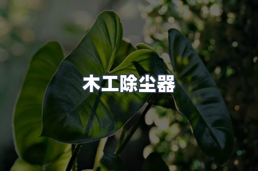 脉冲布袋除尘器